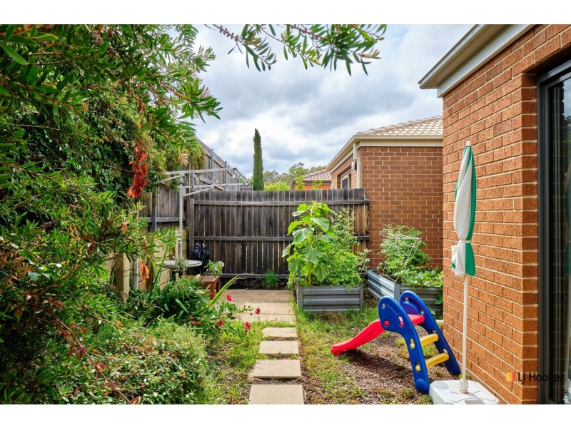 14 Phillipa Weeks Street, Watson ACT 2602