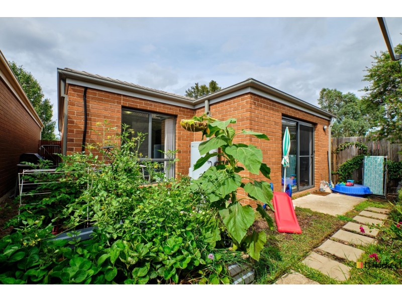 14 Phillipa Weeks Street, Watson ACT 2602