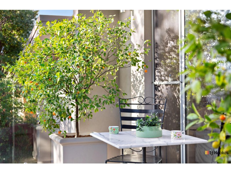 11 Gellibrand Street, Campbell ACT 2612