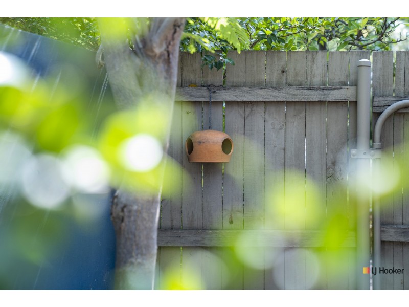 6a Boronia Drive, O’connor ACT 2602