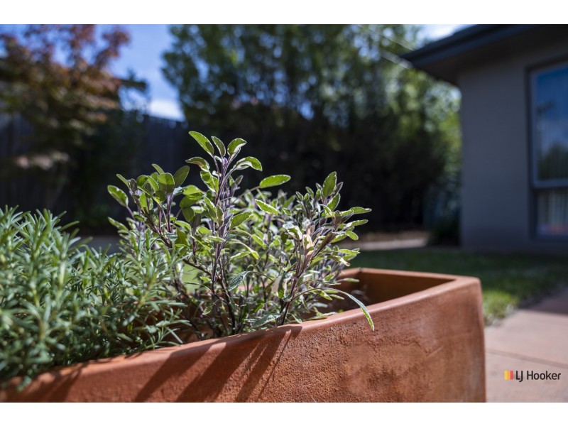 6a Boronia Drive, O’connor ACT 2602