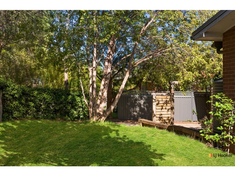 51 Raymond Street, Ainslie ACT 2602