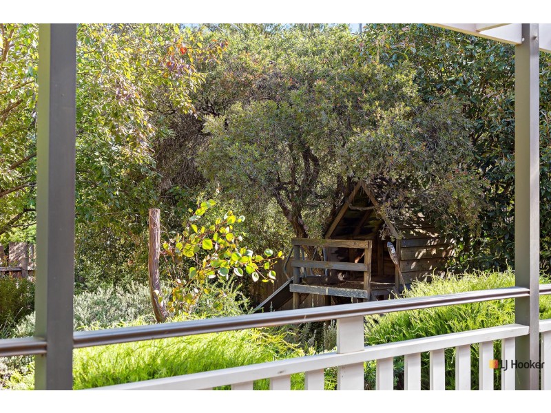 51 Raymond Street, Ainslie ACT 2602