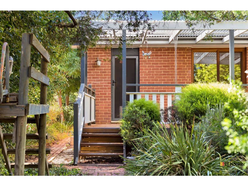 51 Raymond Street, Ainslie ACT 2602