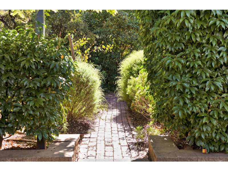 51 Raymond Street, Ainslie ACT 2602