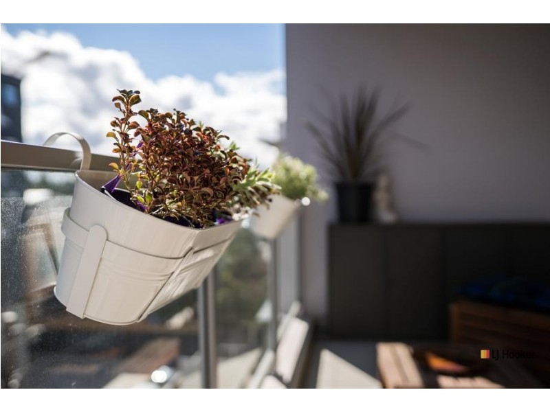 43/35 Torrens Street, Braddon ACT 2612