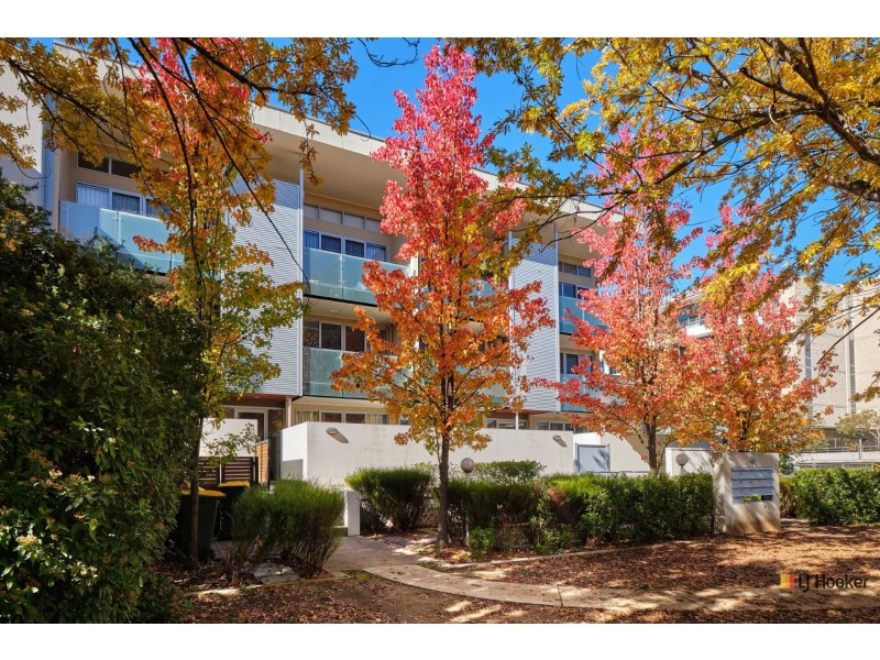 8/16 De Burgh Street, Lyneham ACT 2602