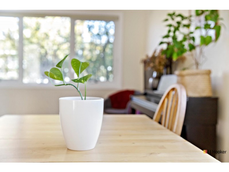 15 Bradfield Street, Downer ACT 2602