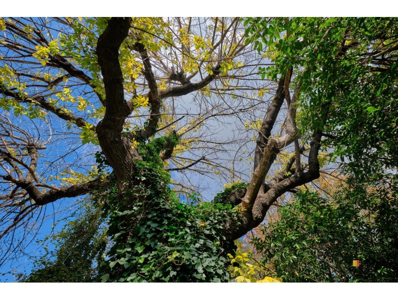 58 A’Beckett Street, Watson ACT 2602