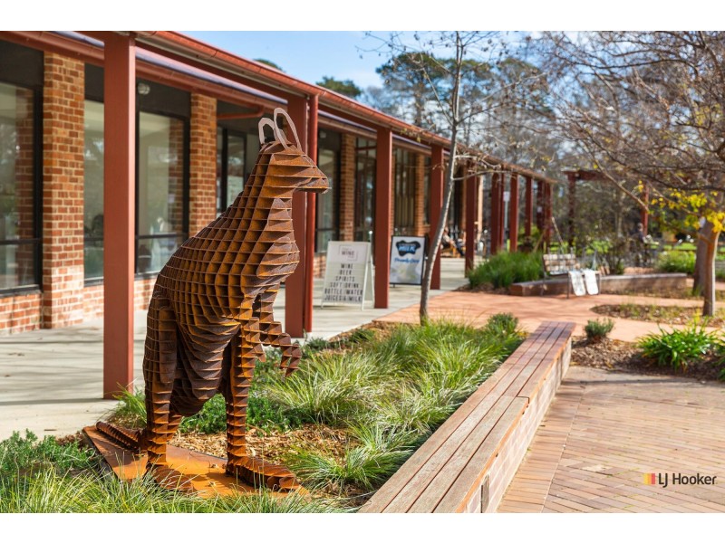 4/3 Cadell Street, Downer ACT 2602