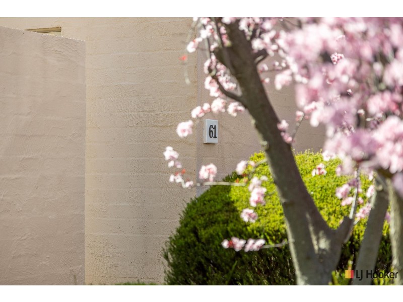 61/177 Badimara Street, Fisher ACT 2611