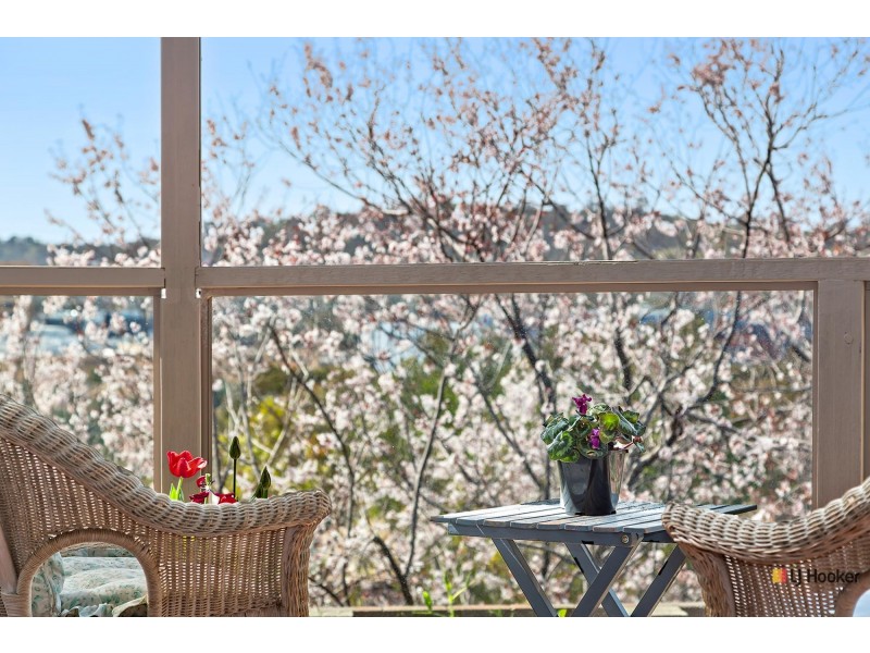 105 Hallen Close, Phillip ACT 2606