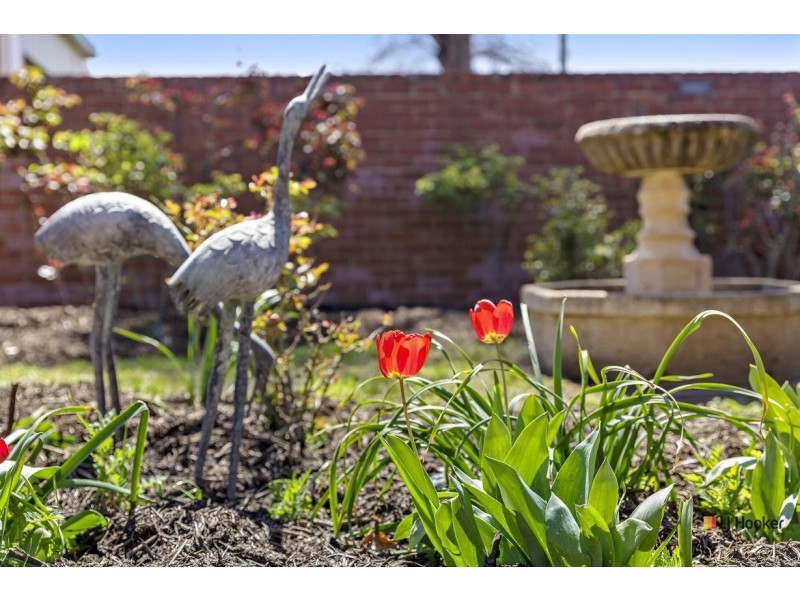 1 Becker Place, Downer ACT 2602