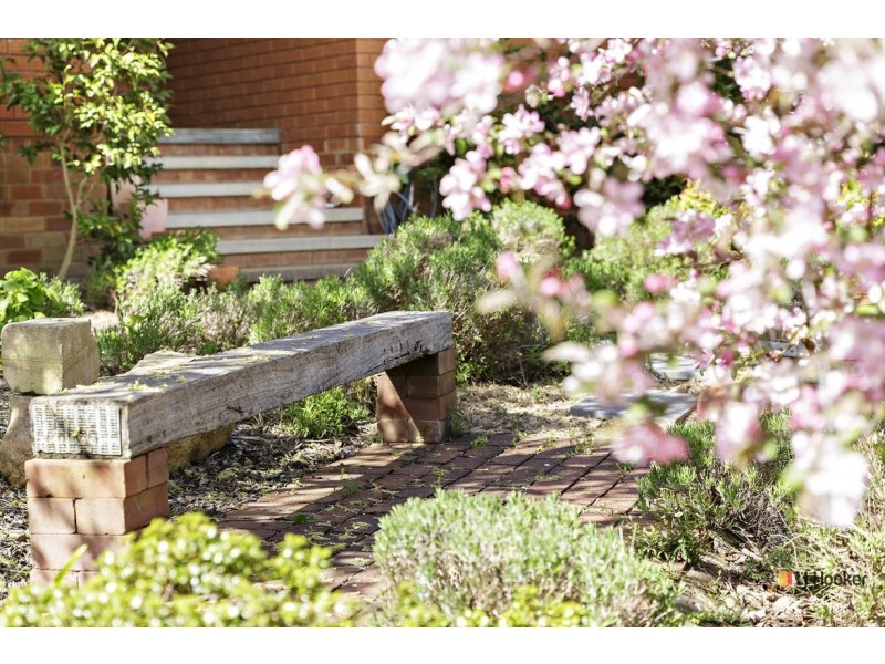 55 Cullen Street, Watson ACT 2602