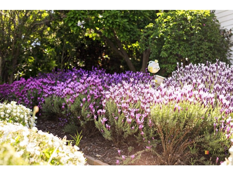 4 Yapunyah Street, O’connor ACT 2602