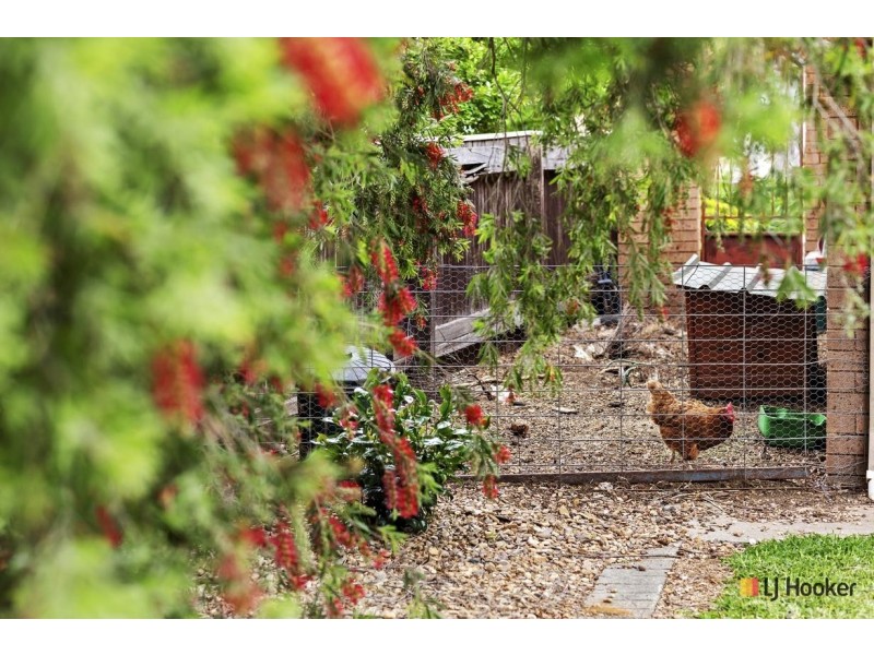 46 Terewah Circuit, Kaleen ACT 2617