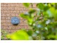 4/7 Gabriel Place, Florey ACT 2615