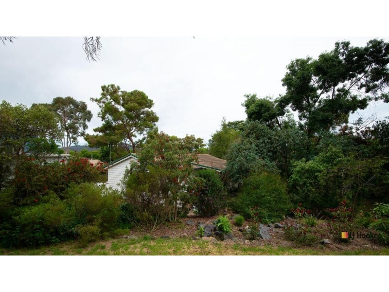 2 Bursaria Street, O’connor ACT 2602