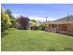 4 Caley Crescent, Narrabundah ACT 2604