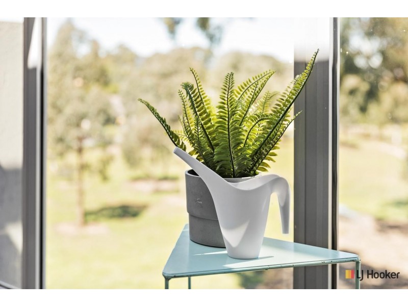 8/75 Elizabeth Jolley Crescent, Franklin ACT 2913