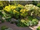 139 Duffy Street, Ainslie ACT 2602