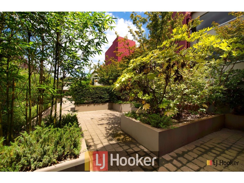 19/12 Challis Street, Dickson ACT 2602