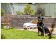93 Shakespeare Crescent, Fraser ACT 2615