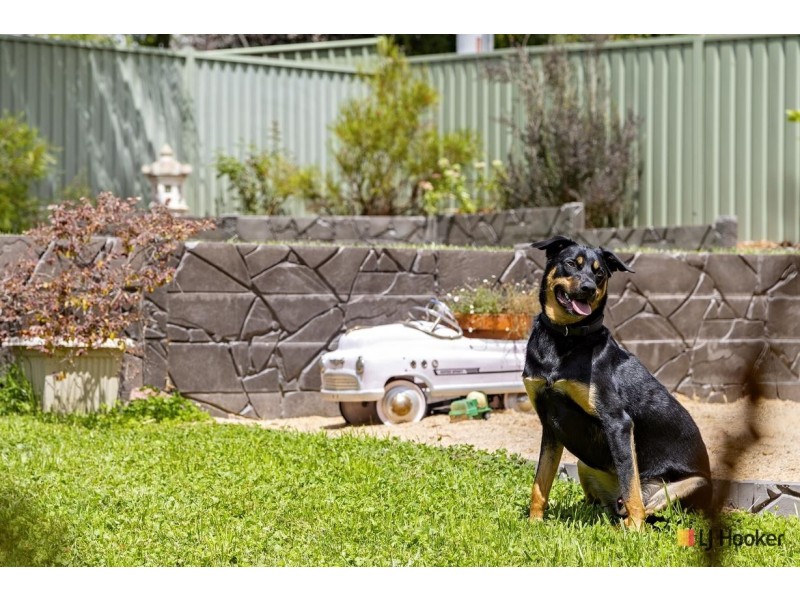 93 Shakespeare Crescent, Fraser ACT 2615