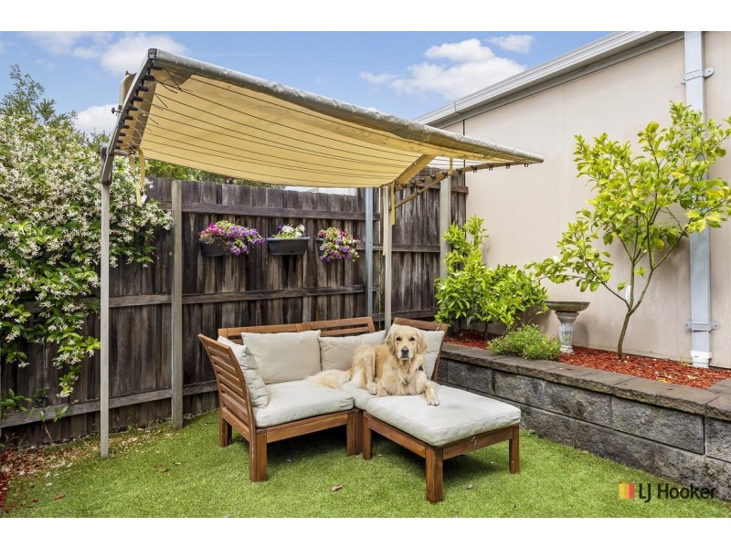 17 Chance Street, Crace ACT 2911