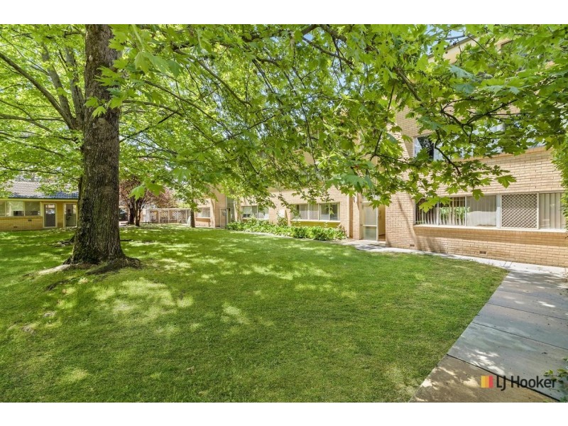 24/41 David Street, O’connor ACT 2602