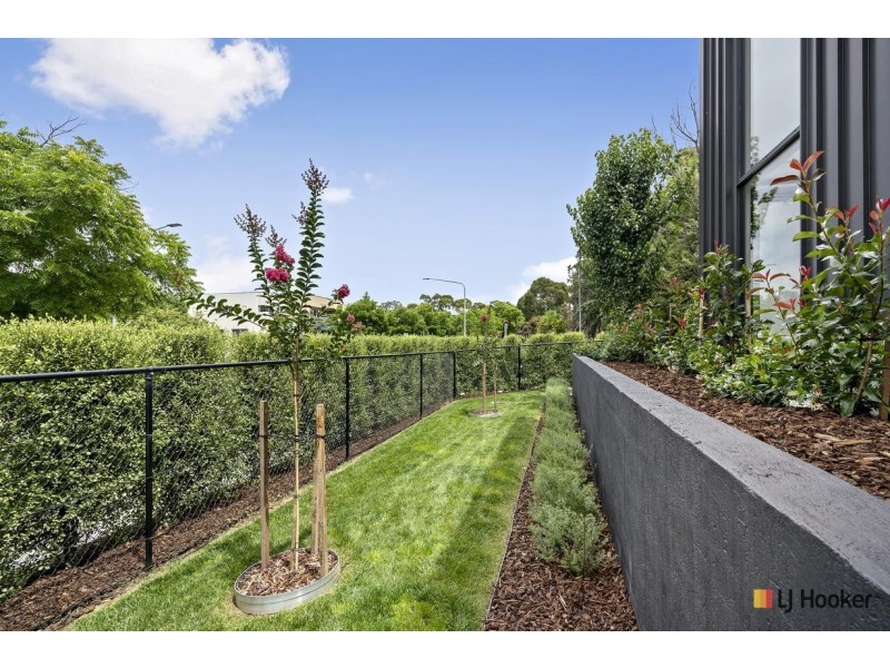 24A Dooring Street, Braddon ACT 2612