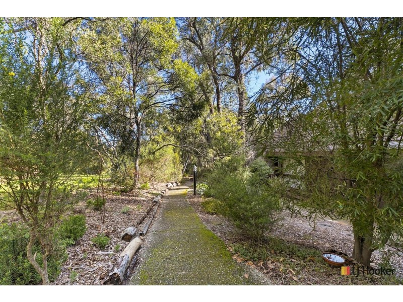 44 Wybalena Grove, Cook ACT 2614