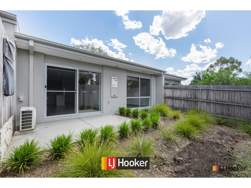 2/9 Jevons Place, Page ACT 2614