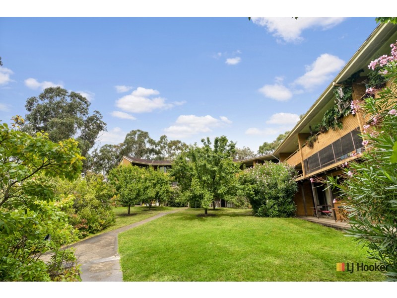 53/7 Medley Street, Chifley ACT 2606