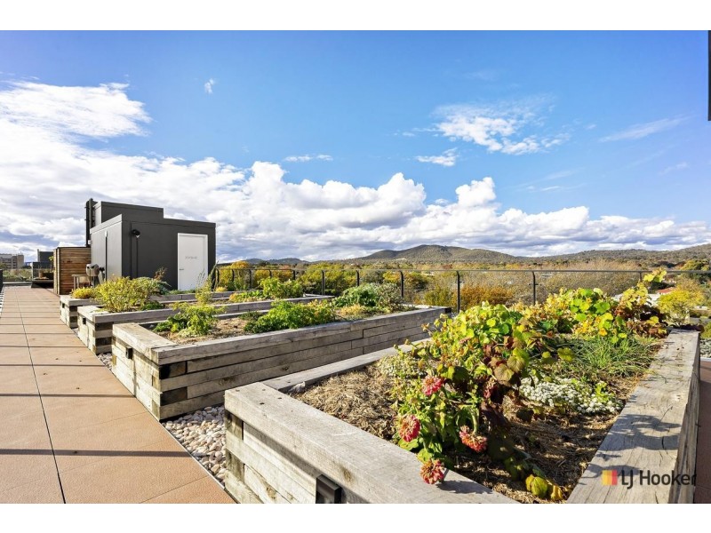 708/55 Dooring Street, Dickson ACT 2602