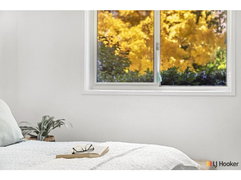 81/20 Federal Highway, Watson ACT 2602