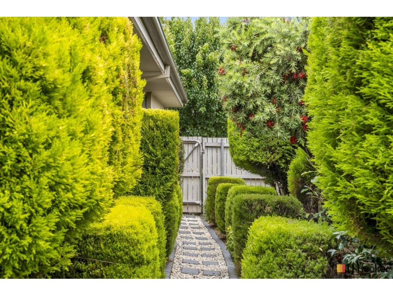 14 Eric De Salis Street, Macgregor ACT 2615