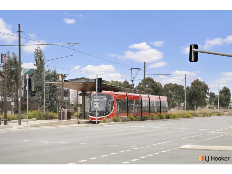 54/141 Mapleton Avenue, Harrison ACT 2914