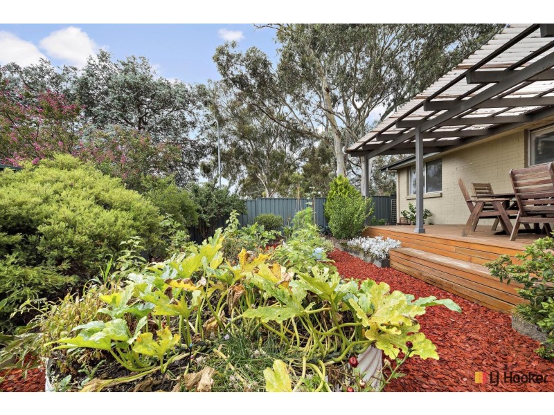 12 De Mestre Place, Holt ACT 2615