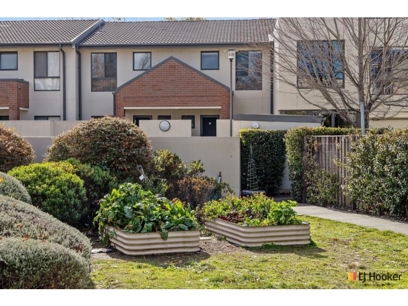 55/2 Archibald Street, Lyneham ACT 2602