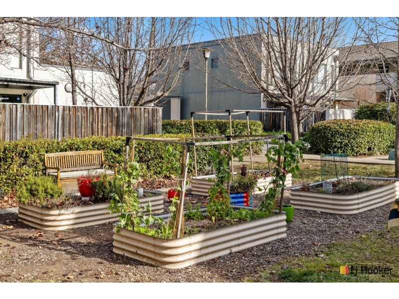 55/2 Archibald Street, Lyneham ACT 2602