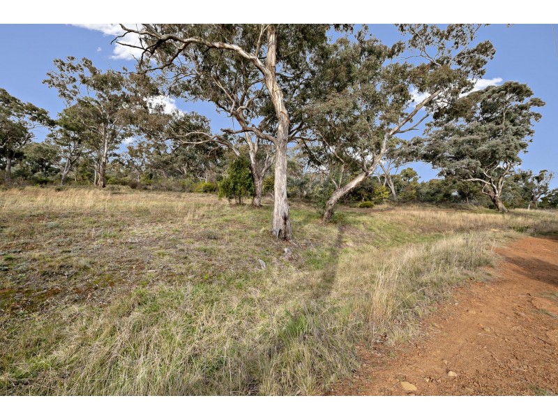 1/36B Duffy Street, Ainslie ACT 2602