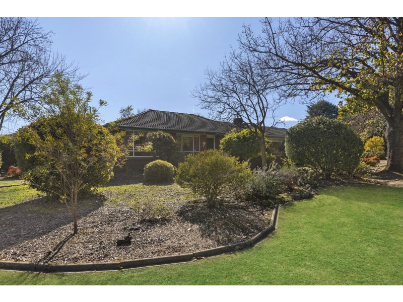 31 Irvine Street, Watson ACT 2602