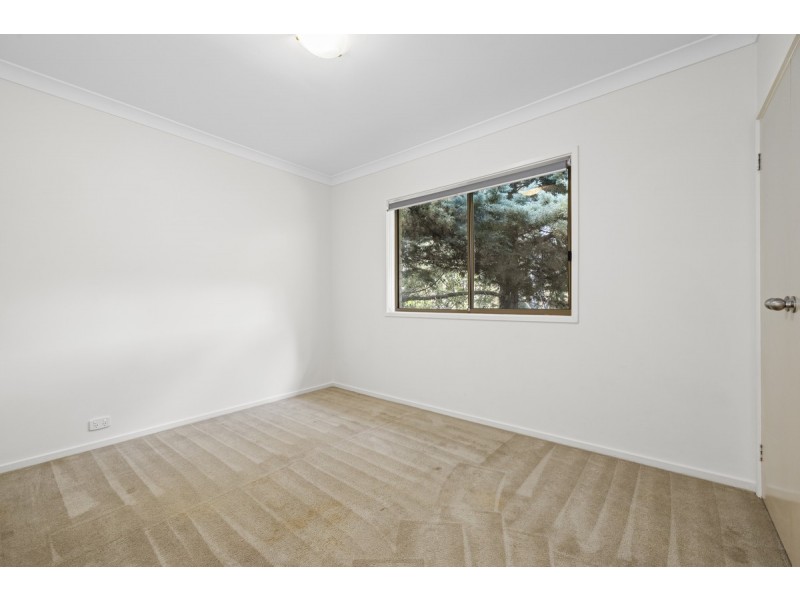 41 Maclagan Street, Isaacs ACT 2607