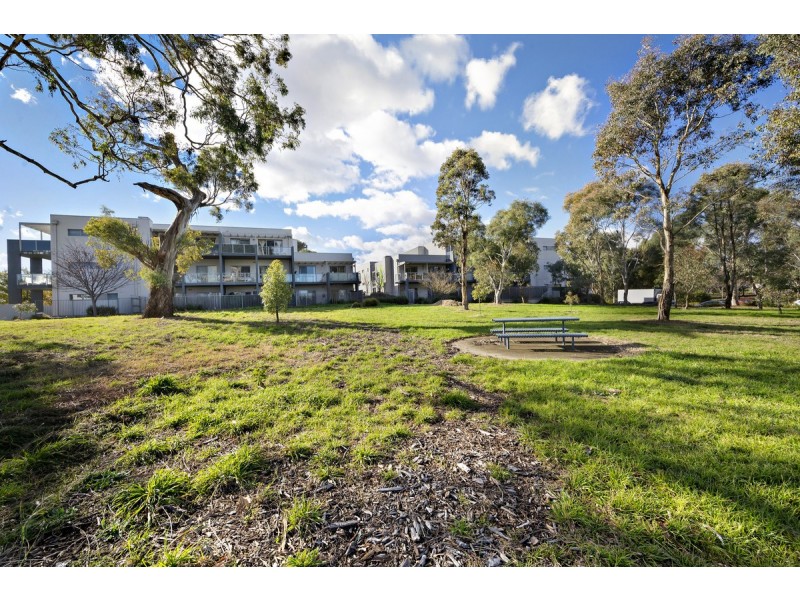 91/75 Elizabeth Jolley Crescent, Franklin ACT 2913