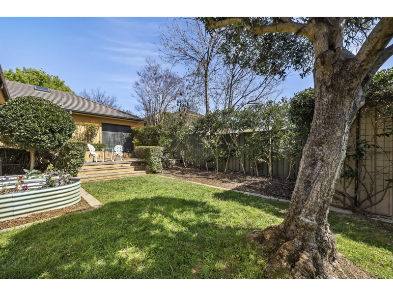 6 Jarrah Street, O’connor ACT 2602