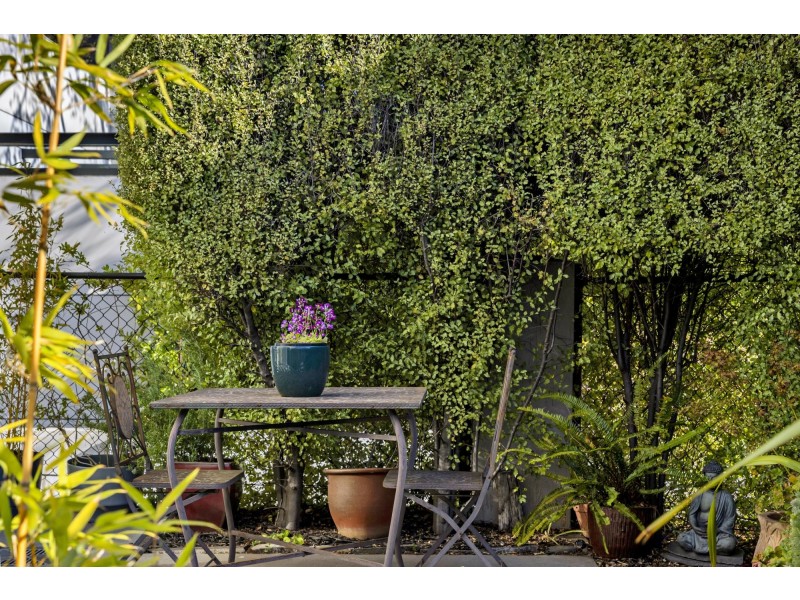 1/54 Macleay Street, Turner ACT 2612