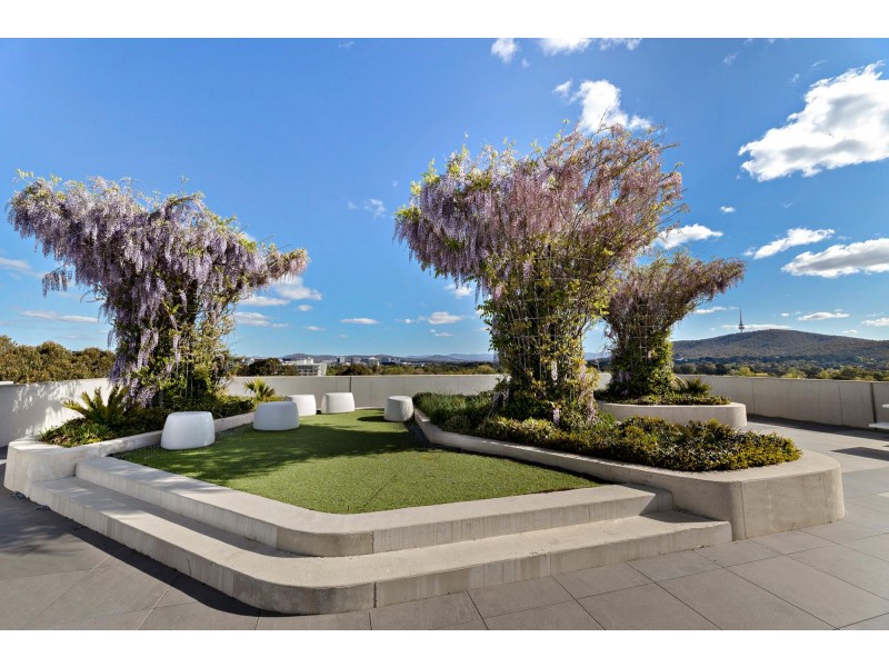 97/217 Northbourne Avenue, Turner ACT 2612