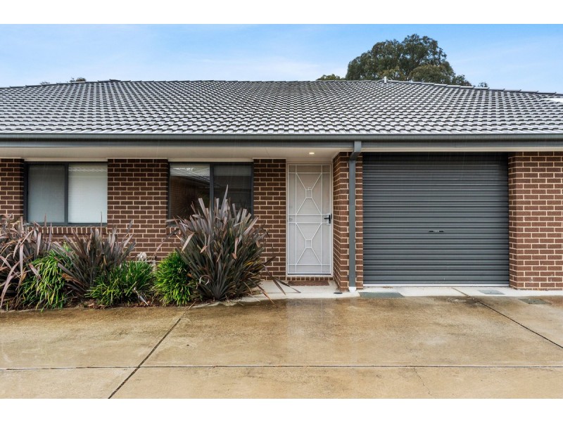 3/1 Saw Place, Macgregor ACT 2615