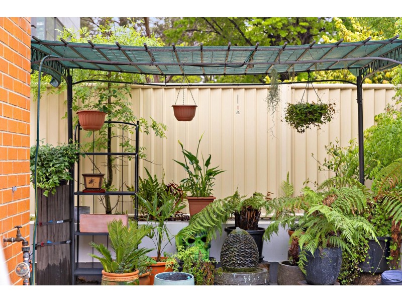 4/54 Moore Street, Turner ACT 2612